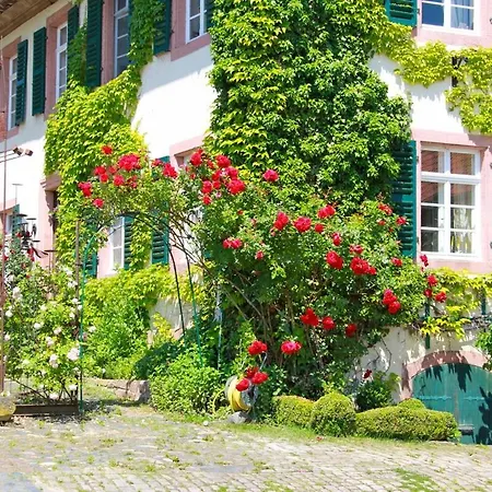 Apartamento Gemütliche Storchennest Im Hofgut Habitzheim